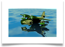 Goose (3)