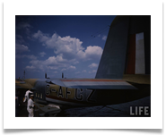Wartime (4)